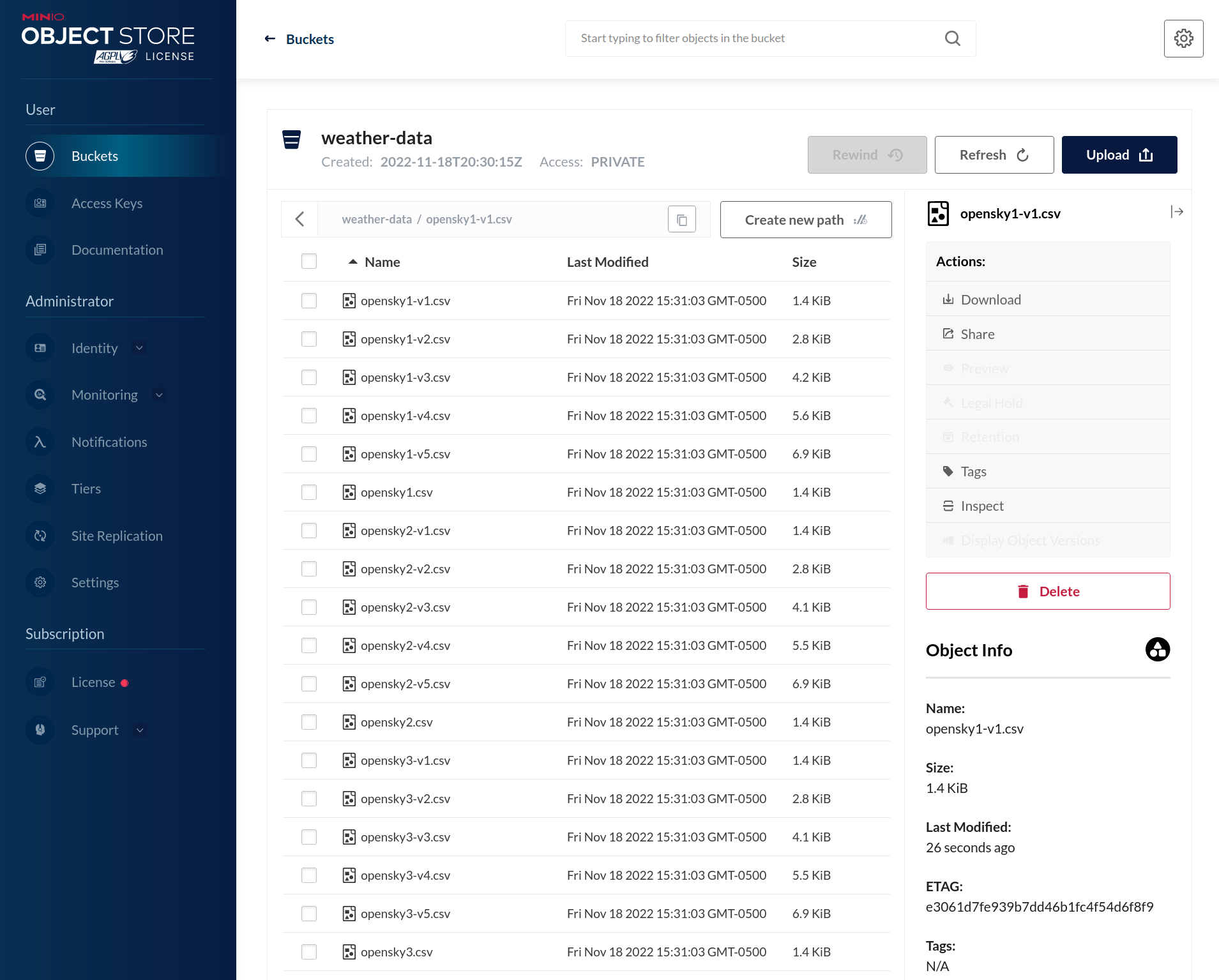 AIStor Console Bucket Object Browser